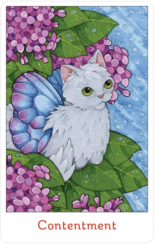 Affirmations of the Fairy Cats Deck and Book Set